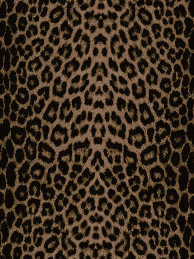 leopard leopard print and solid black bodycon mini skirt set