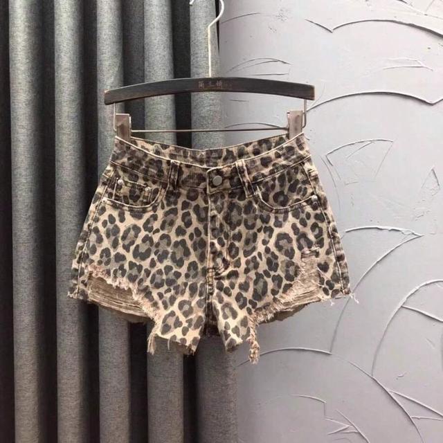 leopard print distressed denim shorts