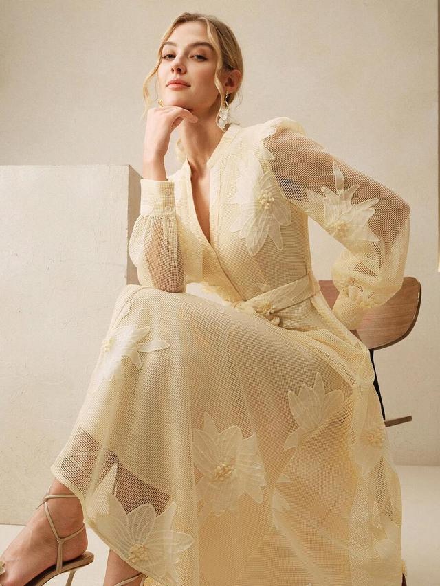 elegant floral embroidered sheer puff sleeve tie waist dress